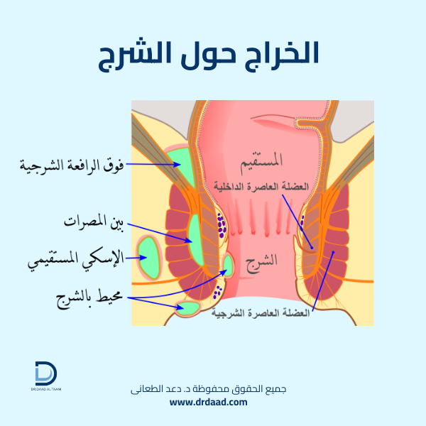 الخراج الشرجي